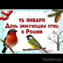 «Всероссийский день зимующих птиц». «Всероссийский день зимующих птиц».