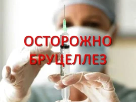 Профилактика бруцеллеза Профилактика бруцеллеза.