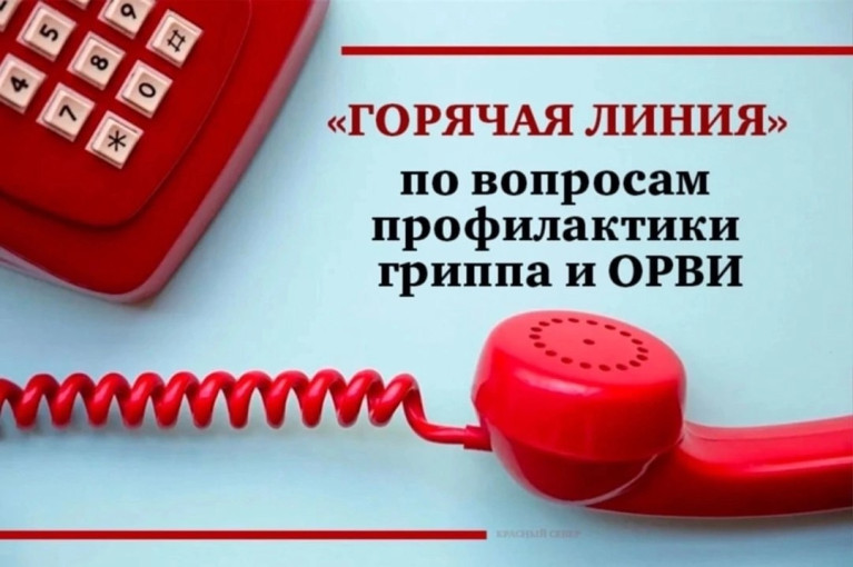Управление Роспотребнадзора по Смоленской области информирует, что с 30 сентября по 11 октября 2024 года проводится всероссийская «горячая линия» Роспотребнадзора по профилактике гриппа и ОРВИ. Управление Роспотребнадзора по Смоленской области информирует, что с 30 сентября по 11 октября 2024 года проводится всероссийская «горячая линия» Роспотребнадзора по профилактике гриппа и ОРВИ.